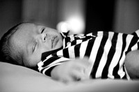 Corby Newborn-0006-5804-20090628.jpg